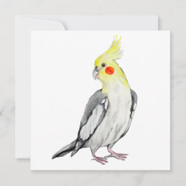Carte Cute Cockatiel Aquarelle Parrot.