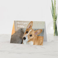 Cute Corgi Photo Funny Chien Amoureux Anniversaire
