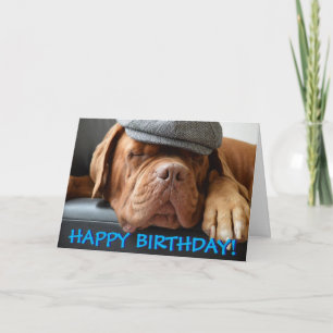 Carte Cute dogue de bordeaux photo birthday card