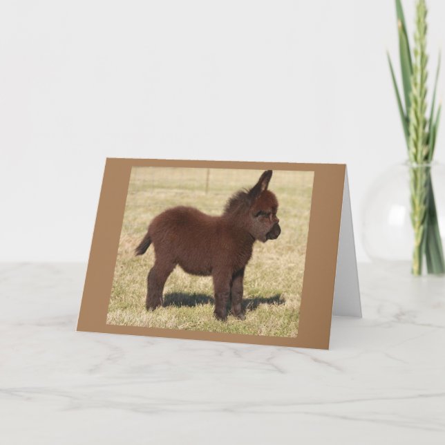 CARTE CUTE DONKEY DIT **HEUREUX ANNIVERSAIRE À VOUS** CA (Devant)
