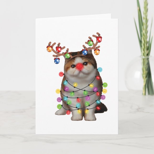 Carte Cute Exotic Shorthair Chat Funny Noël cadeau de va (Devant)