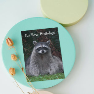 Carte Cute Forest Raccoon Photo Amusant Anniversaire