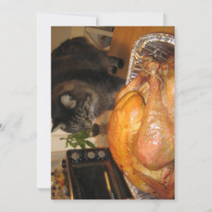 Carte Cute Funny Maine Coon Kitty Bon thanksgiving de ch