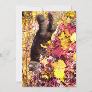 Carte Cute Funny Maine Coon L'Inspection De La Feuille