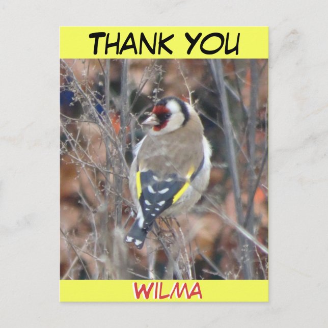 Carte Cute Goldfinch Texte personnalisé MERCI (Devant)