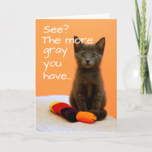 Carte Cute Grey Kitten sur Arrière - plan orange