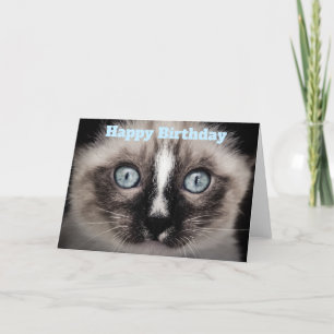 Carte Cute Kitten aux yeux bleus Joyeux anniversaire