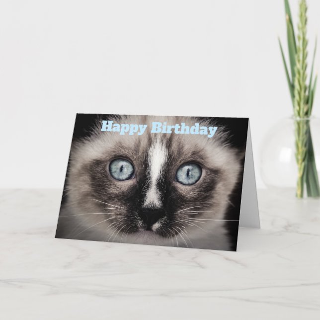 Carte Cute Kitten aux yeux bleus Joyeux anniversaire (Devant)