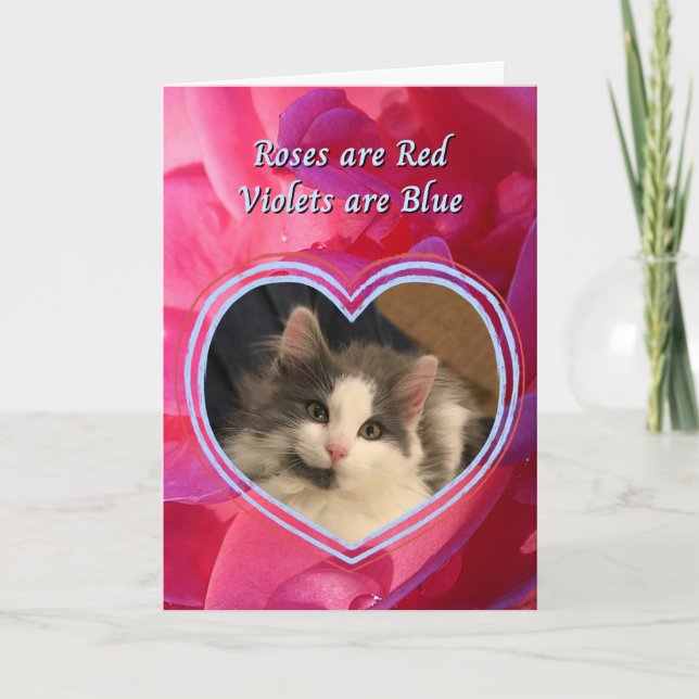 Carte Cute Kitten Le chat est mon Saint Valentin préféré (Devant)