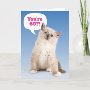 Carte Cute Kitten Tu as 60 ans ?! Anniversaire Personnal