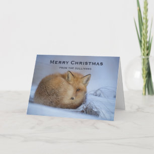 Carte Cute Little Fox Curling Up Winter Photo Noël