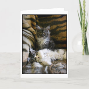 Carte Cute Maine Coon kittens greeting card
