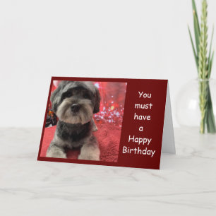 CARTE CUTE PUP ON ***CARTE D'ANNIVERSAIRE DE L'AMI**** C