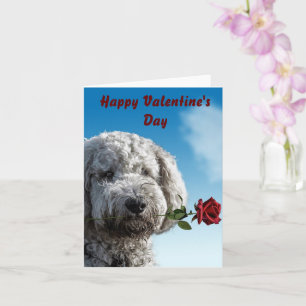 Carte Cute Puppy Happy Valentine's Day