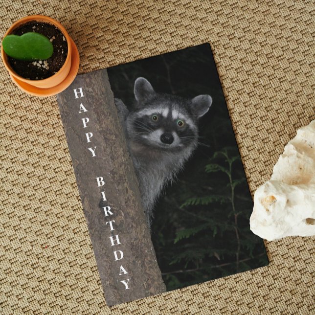 Carte Cute Raccoon Faune Photo Anniversaire (In Situ)