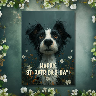 Carte Cute Scruffy Chien et Shamrock St Patrick's Day
