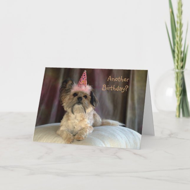 Carte Cute Shaggy Dog Birthday (Devant)
