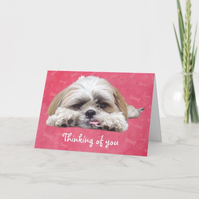 Carte Cute Shih Tzu Puppy : Pense à toi (Devant)