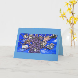 Carte Cute Sleeping Cats in Tree