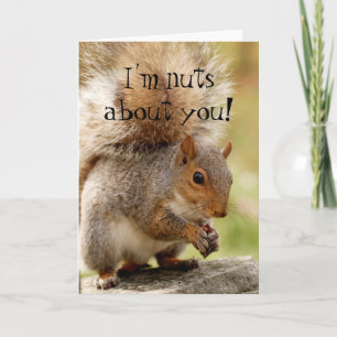 Carte Cute Squirrel "Nuds About You"