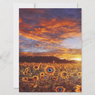 Carte Cute Sunflower Eye - Vintage Funny Birthday Gift