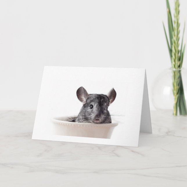 Carte Cute Teacup Chinchilla Grey (Devant)