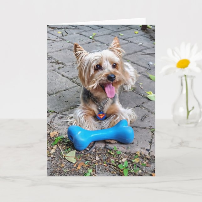 Carte Cute Terrier (Petite plante)