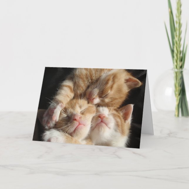 Carte Cuteness Kitten (Devant)