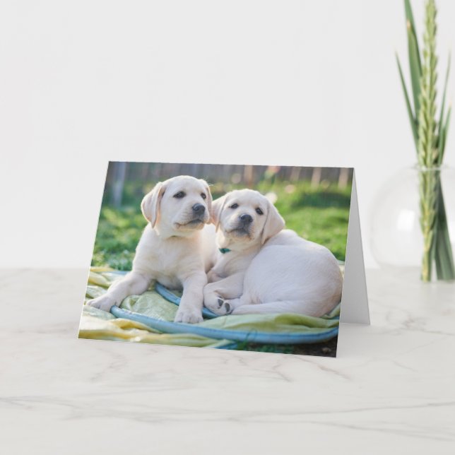 Carte Cutest Baby Animals | Yellow Labrador Retrievers (Devant)