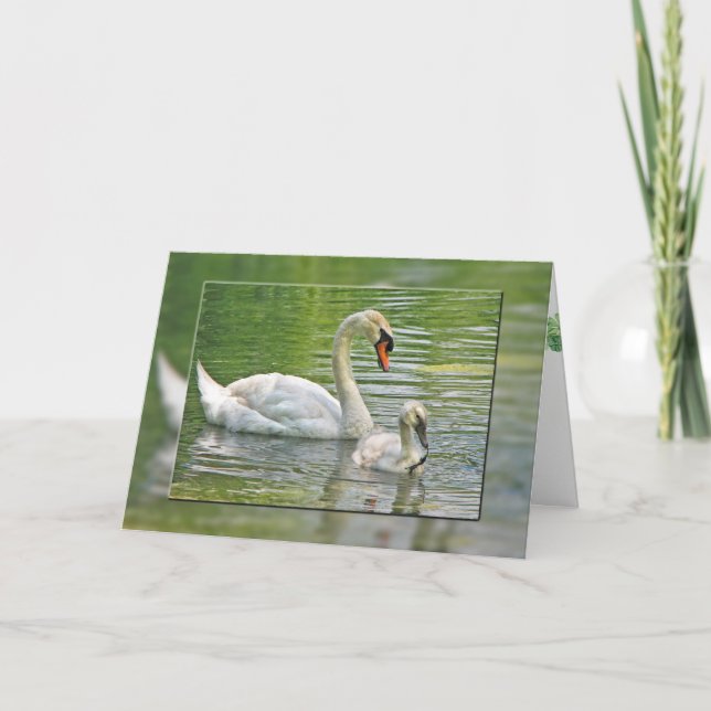 Carte cygne d'anniversaire avec cygnet dans l'étang (Devant)