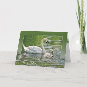 Carte cygne d'anniversaire avec cygnet dans l'étang
