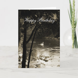 Carte Cygne sur la rivière - Anniversaire