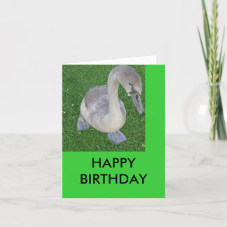 Carte cygnets sur terre, JOYEUX ANNIVERSAIRE