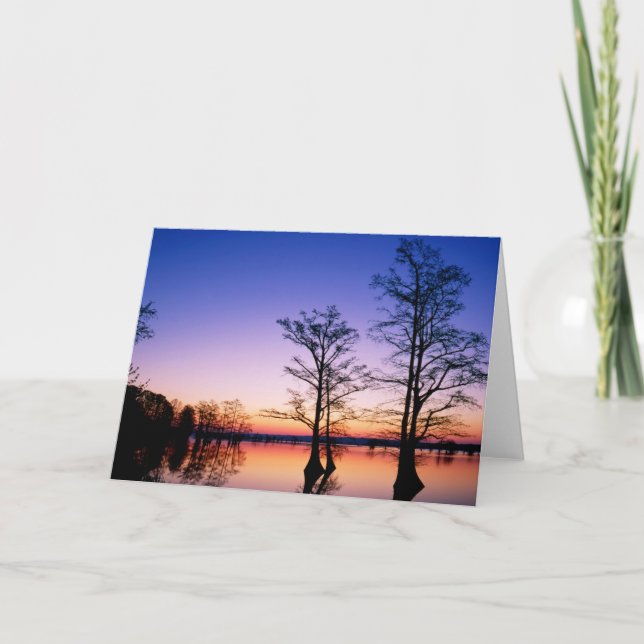 Carte Cyprès Bald Arbres | Réserve nationale de faune, T (Devant)