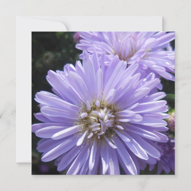 Carte Cyrène (Devant)