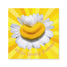 "Bonjour bel Humain !" Chamomile Smile Éclat de So