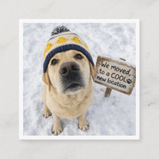 Carte D'accompagnement Change of Address - Dog Moving Home