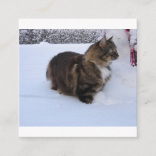 Carte D'accompagnement chat forestier norvégien dans la neige