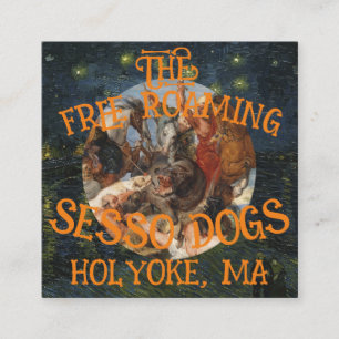 CARTE D'ACCOMPAGNEMENT CHIENS SESSO ERRANTS HOLYOKEMA MASSUCHUSETTS