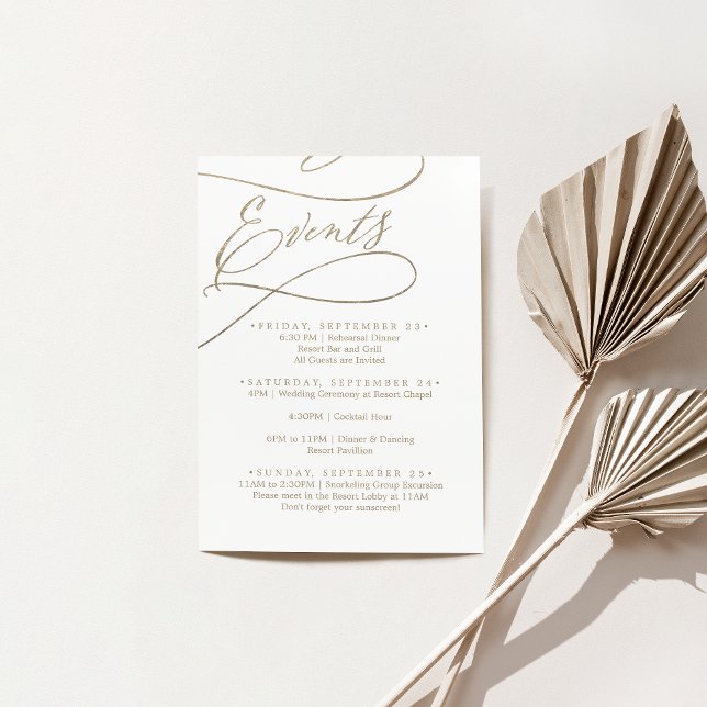 Carte D'accompagnement Fin de semaine du Mariage d'or romantique Horaire  (Romantic Gold Wedding Weekend Schedule of Events Enclosure Card)