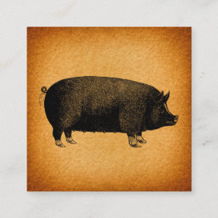 Carte D'accompagnement Illustrated Vintage Pig