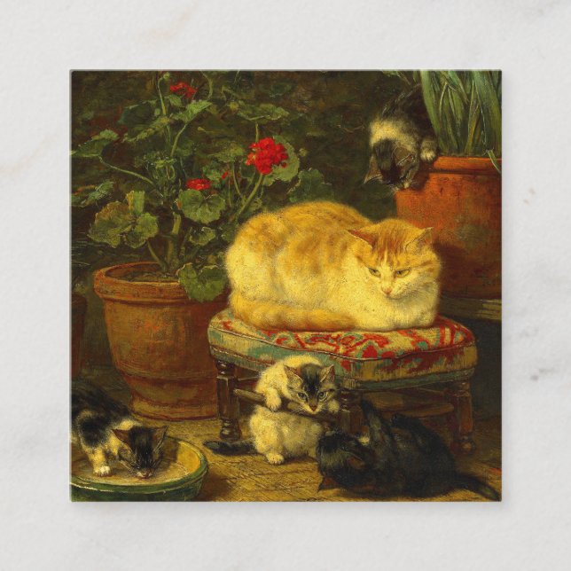 Carte D'accompagnement Les chatons en jeu (Devant)