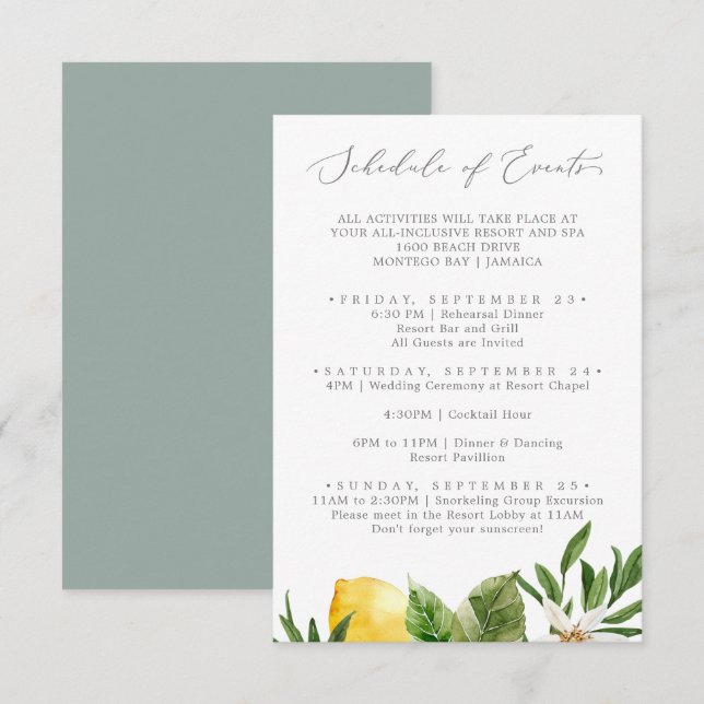 Carte D'accompagnement Mariage de jardin de citron moderne Horaire des év (Devant / Derrière)