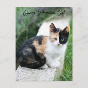 Carte D'accompagnement Opera Phantom Chat