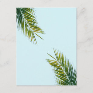 Carte D'accompagnement Palmier Vert Tropical sur Fond Bleu Clair