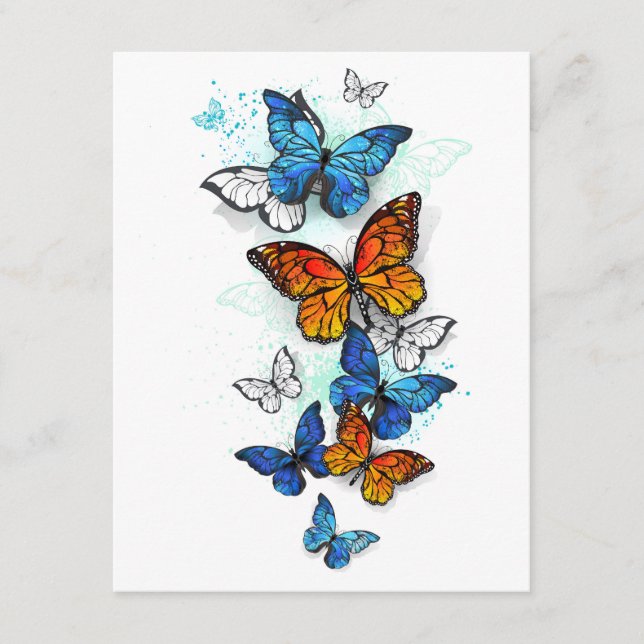 Carte D'accompagnement Papillons volants Morpho et Monarch (Devant)