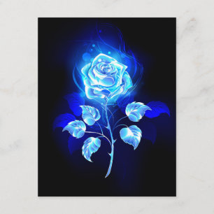 Carte D'accompagnement Rose bleu brûlant