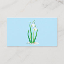 Snowdrops (Galanthus nivalis) Fleurs du début du p