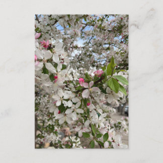 Carte D'accompagnement Spring flower