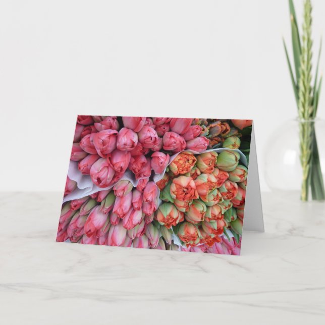 CARTE D'ACCUEIL Belles Tulipes en France (Devant)